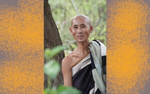 Maitre Thich Minh Tue