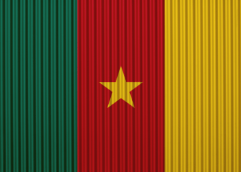 Drapeau Cameroun