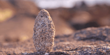 Religactu-indispensable-360x180 L'actualité des religions en France et dans le monde