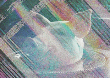 Tete de cochon - mosquée