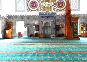 mosquée Çınar
