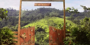 La-porte-de-TierraMitica-360x180 L'actualité des religions en France et dans le monde