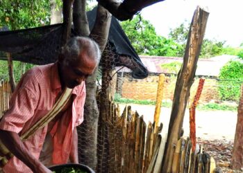 Un médecin traditionnel kankuamo prépare des feuilles de coca dans la Sierra Nevada de Santa Marta, en Colombie.